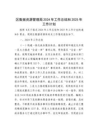 2024年工作总结和2025年工作计划（数据资源管理局）
