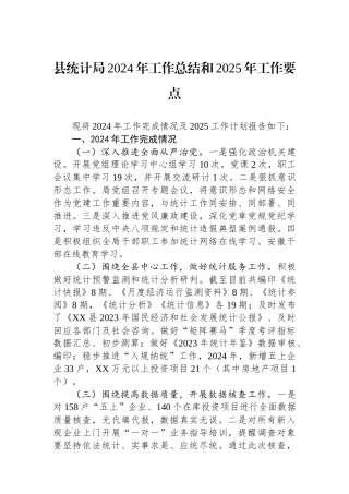 2024年工作总结和2025年工作要点（统计局）