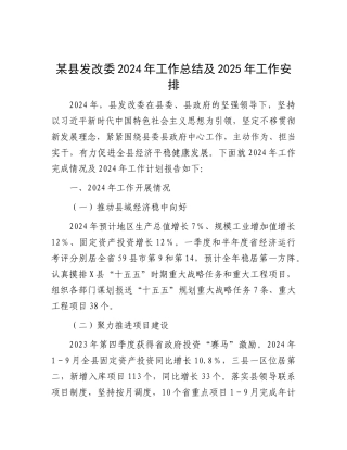 2024年工作总结及2025年工作安排（发改委）