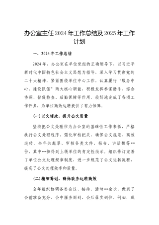 2024年工作总结及2025年工作计划（办公室主任）