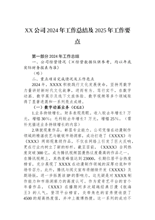 2024年工作总结及2025年工作要点（公司）