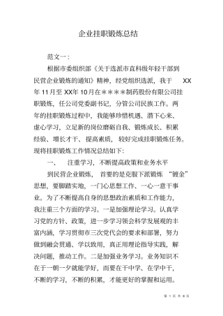 企业挂职锻炼总结