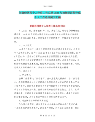 初级经济师个人年终工作总结2024与初级经济师年底个人工作总结例文汇编