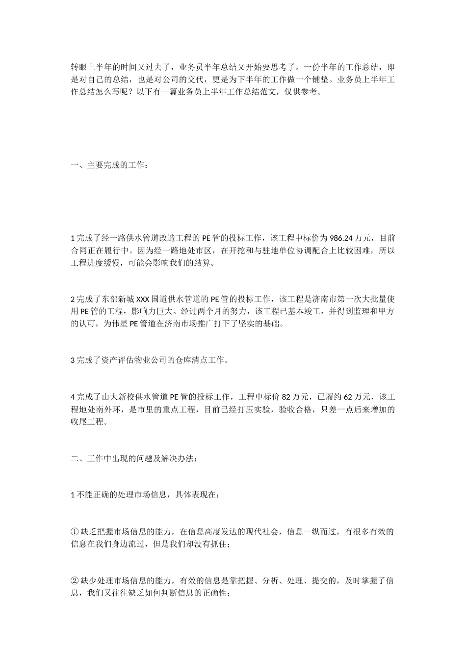 业务员半年总结1_第1页