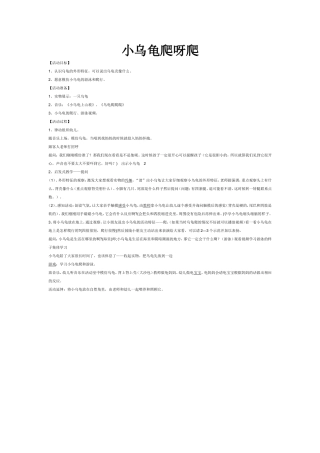 小乌龟爬呀爬