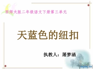 《天蓝色的纽扣》PPT