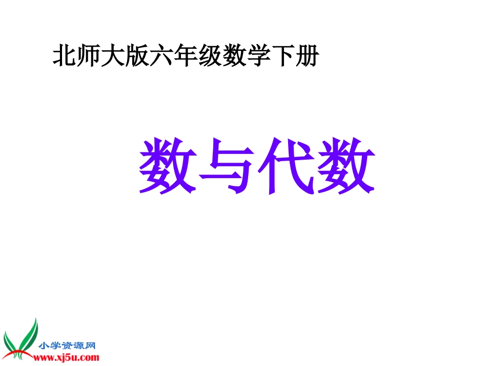 北师大版数学六年级下册《数与代数》课件_第1页