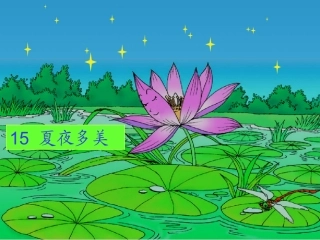 《夏夜多美》第一课时课件