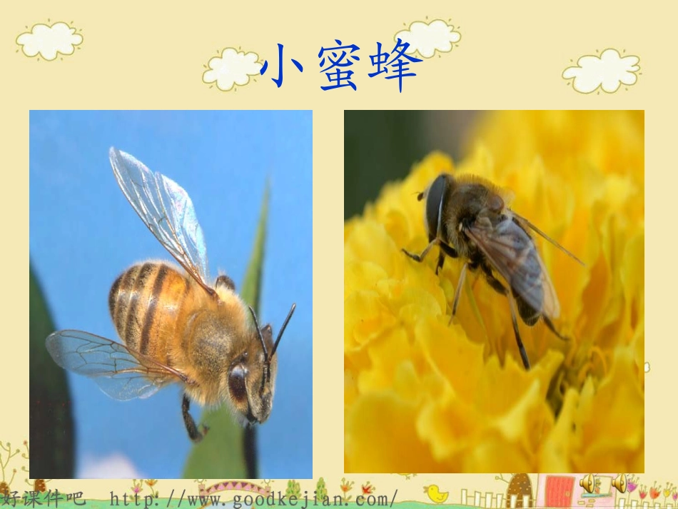 不用嗓子的歌手_课件(s版)_第3页