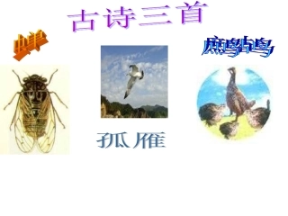 蝉、孤雁、鹧鸪