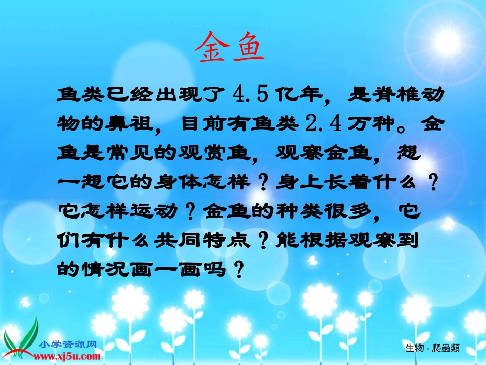 三年级上册科学（金鱼）_第2页