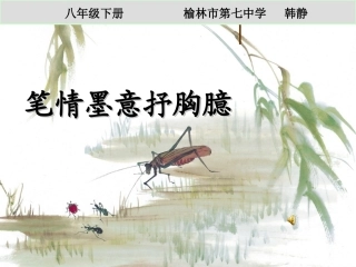演示文稿第三课