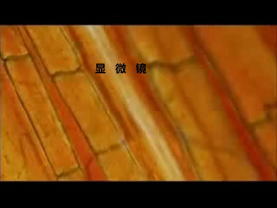 显微镜和望远镜PPT_第2页