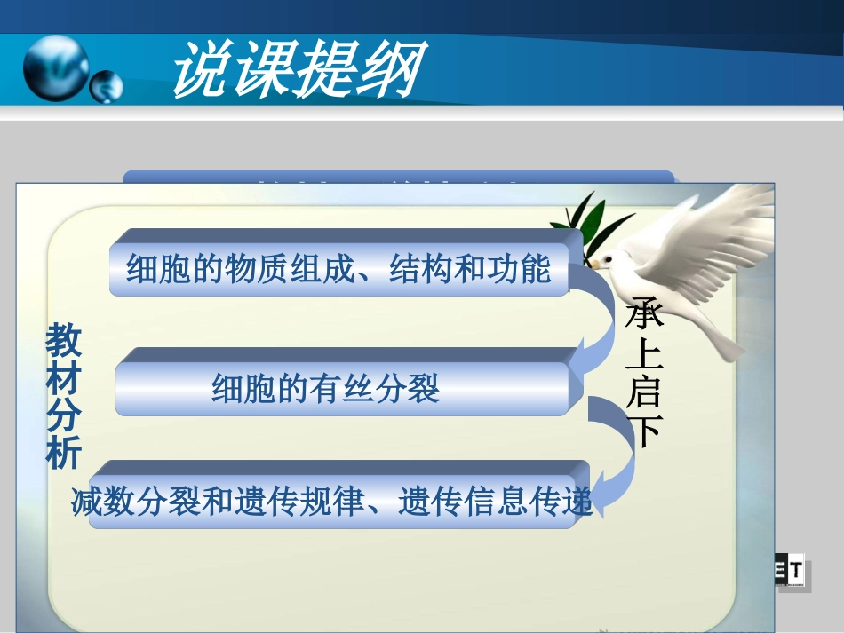 《有丝分裂》说课_第2页