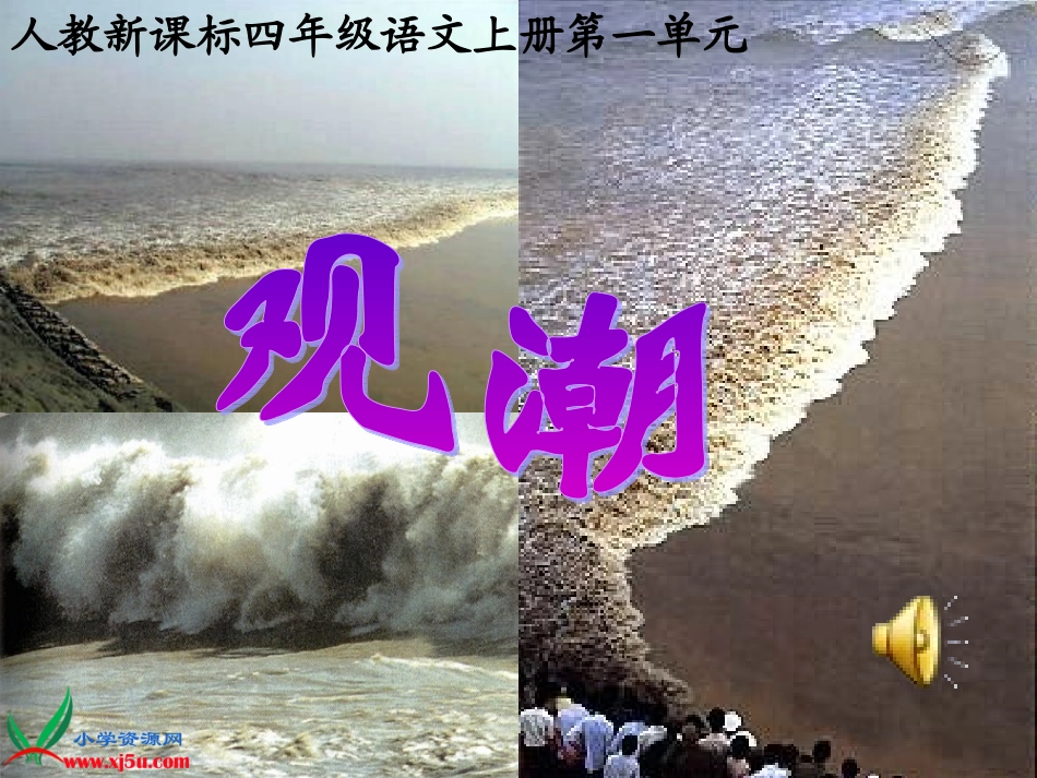 (人教新课标版)四年级语文上册课件观潮_第1页