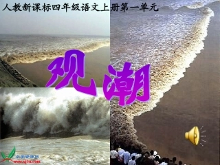 (人教新课标版)四年级语文上册课件观潮