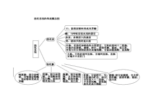 消化系统概念图