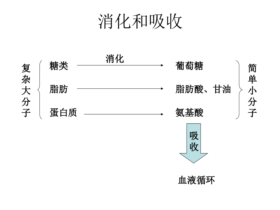 初中生物知识结构图_第3页