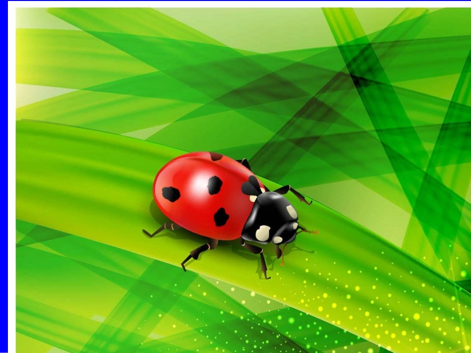 有趣的发现_课件__第2页