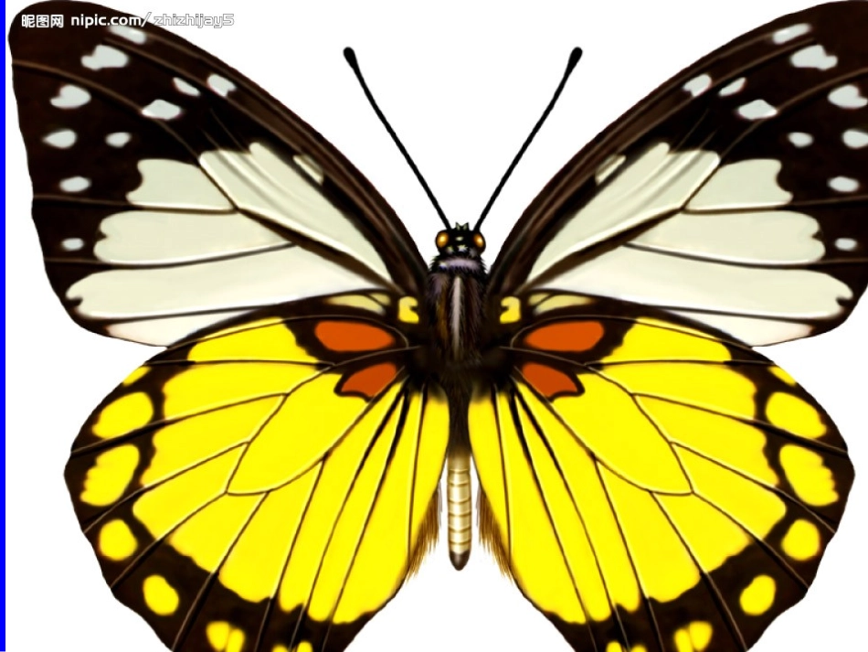 有趣的发现_课件__第3页