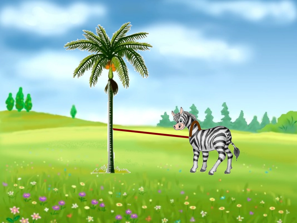 圆的面积(原创）_第1页