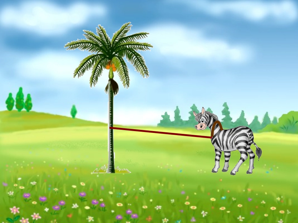 圆的面积(原创）_第2页