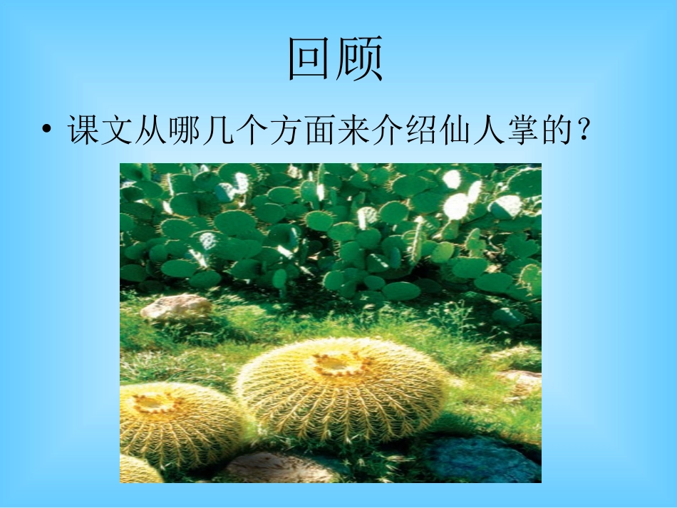 复件仙人掌的王国_第2页