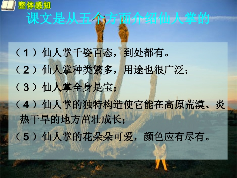复件仙人掌的王国_第3页