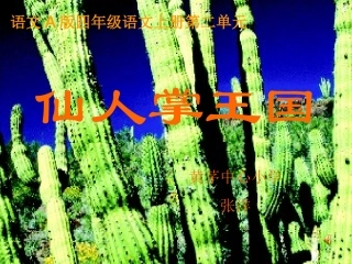 复件仙人掌的王国