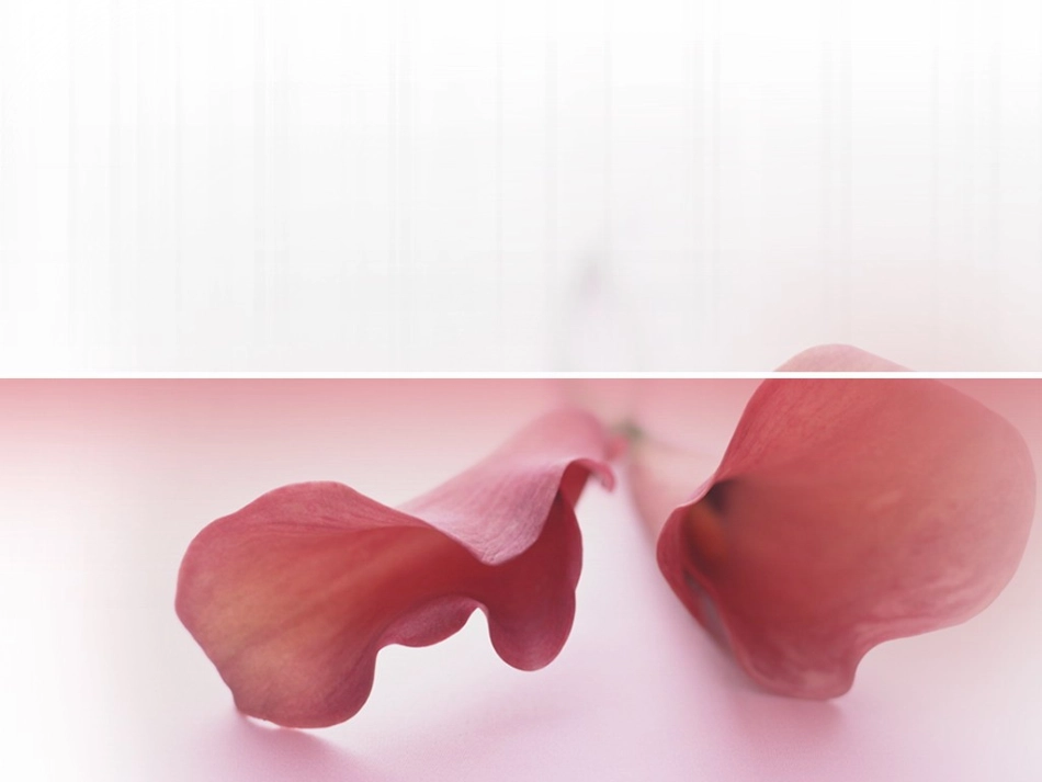 （转载）中考作文训练_第2页