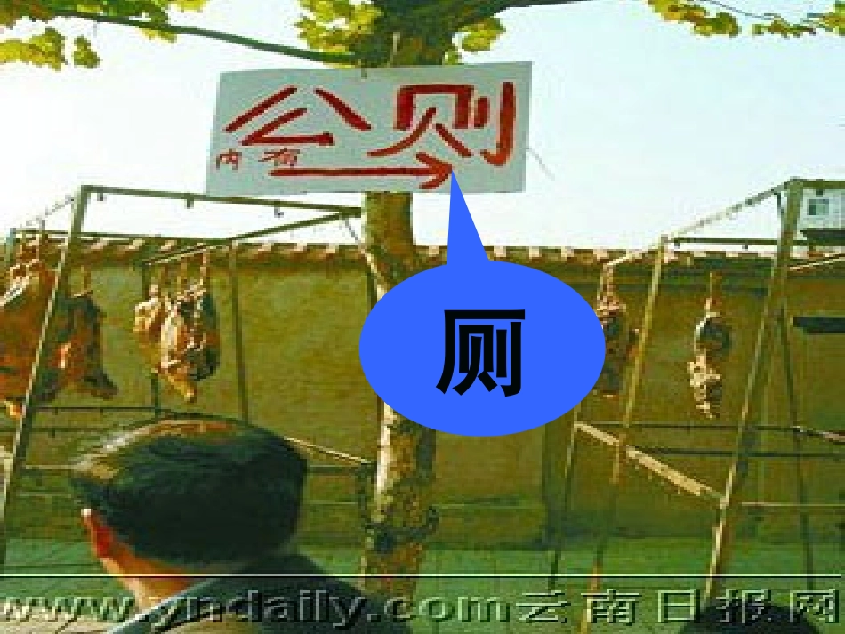 咬文嚼字消灭错别字(用)_第3页