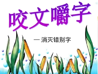 咬文嚼字消灭错别字(用)