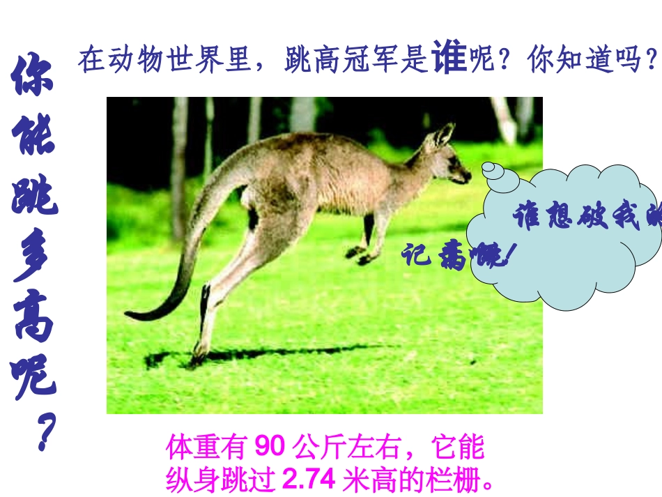 八年级生物陆地生活的动物课件_第2页