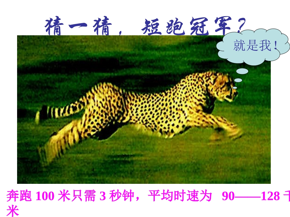 八年级生物陆地生活的动物课件_第3页