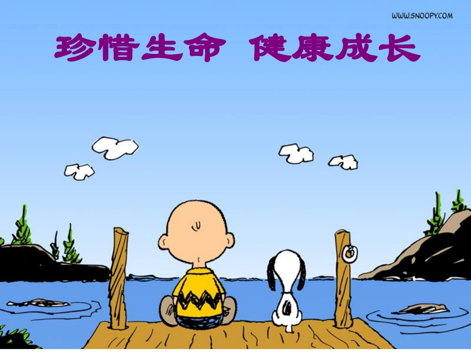 （精品）珍爱生命主题班会课件_第1页