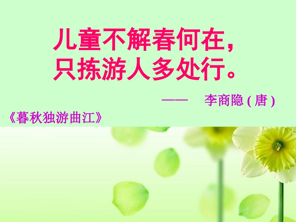 《只拣儿童多处行》课件(苏教版五年级语文下册课件)_第2页