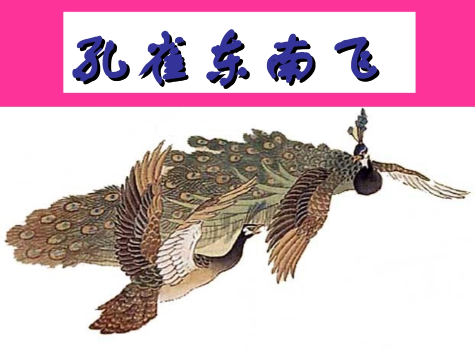 孔雀东南飞——课件_第1页
