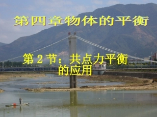 《共点力平衡的应用》课件