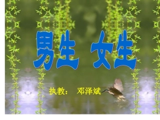 八年级政治男生女生课件人教版