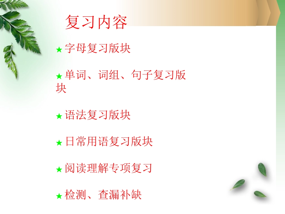小学英语毕业总复习教学_第2页