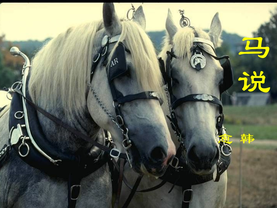 初中语文八年级上----_马说_第1页