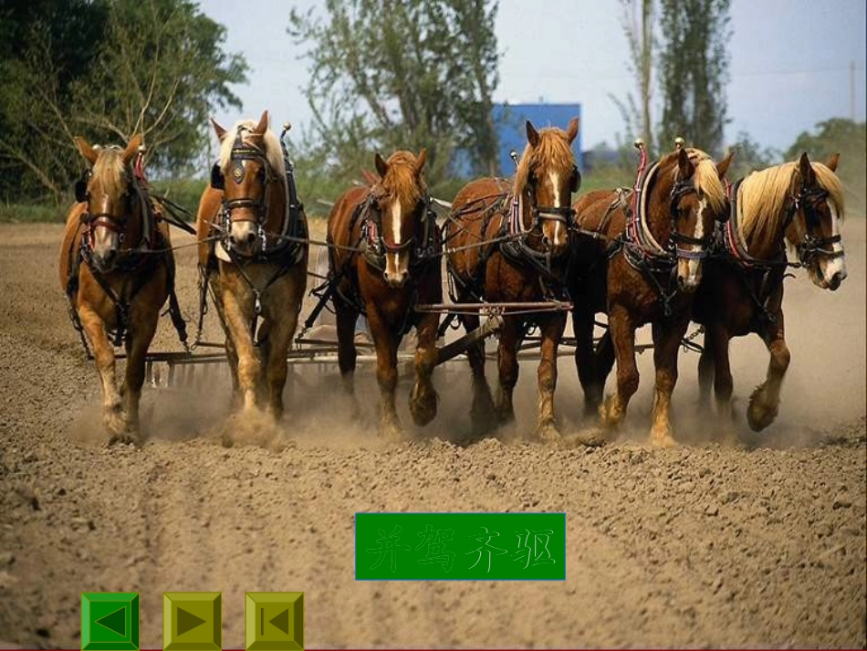 初中语文八年级上----_马说_第3页