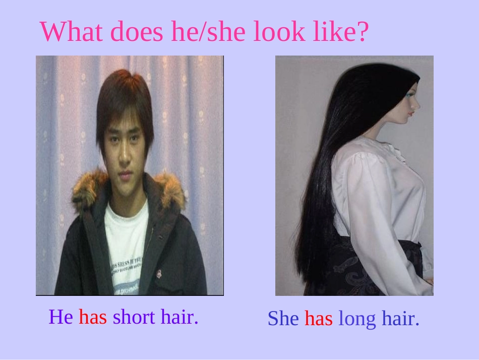 七年级英语下册Whatdoeshelooklike--SectionA课件_第2页