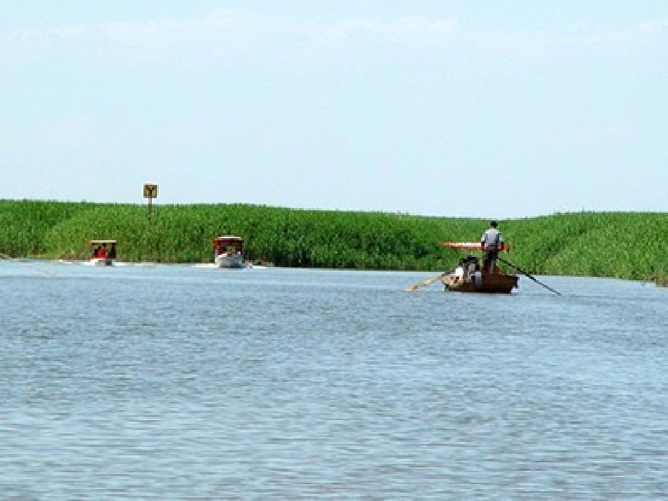 《芦花荡》课件_第2页
