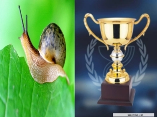 牛冬梅《蜗牛的奖杯》