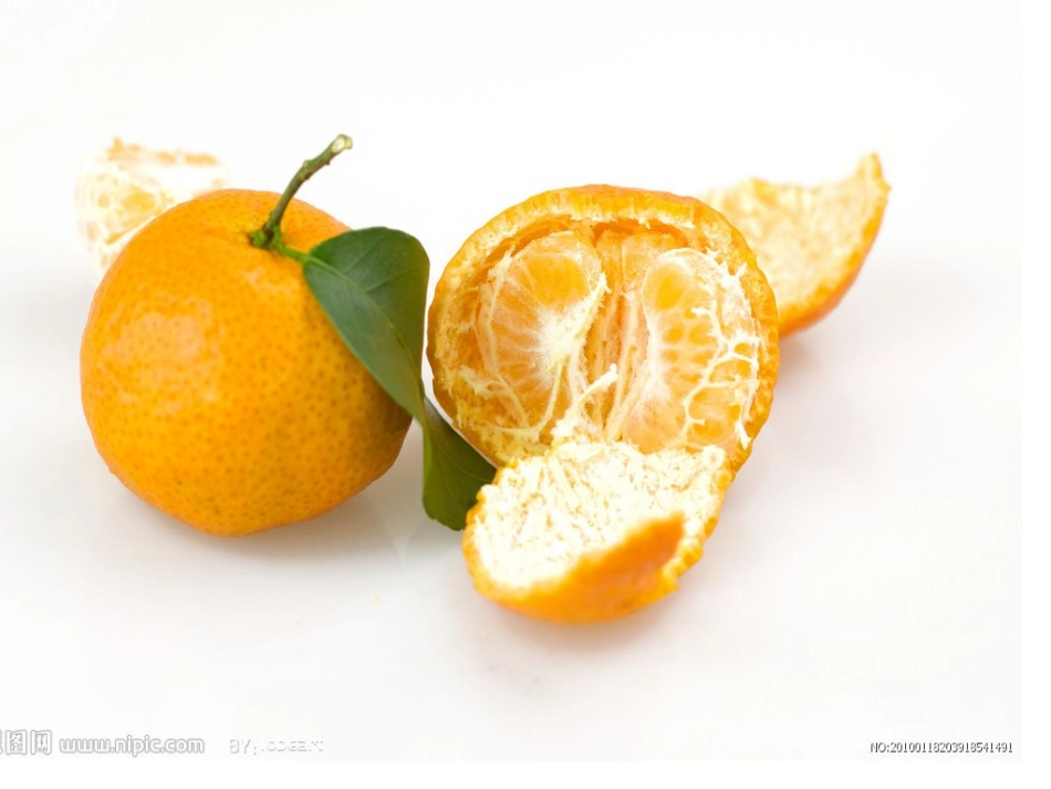 习作教学：桔子_第3页