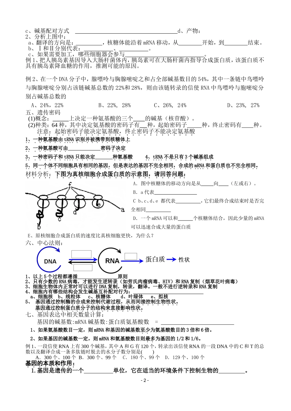 讲义遗传信息的表达_第2页