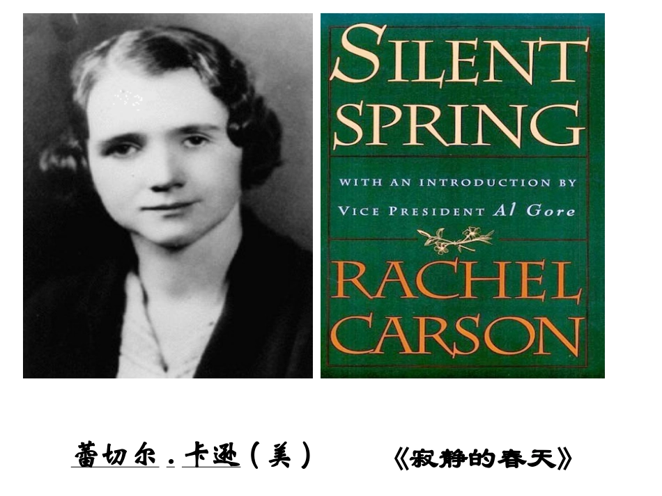 动物在自然界中的作用(课件)_第2页