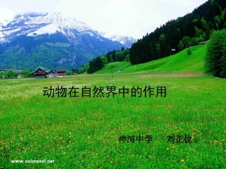 动物在自然界中的作用(课件)