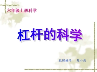 《杠杆的科学》课件